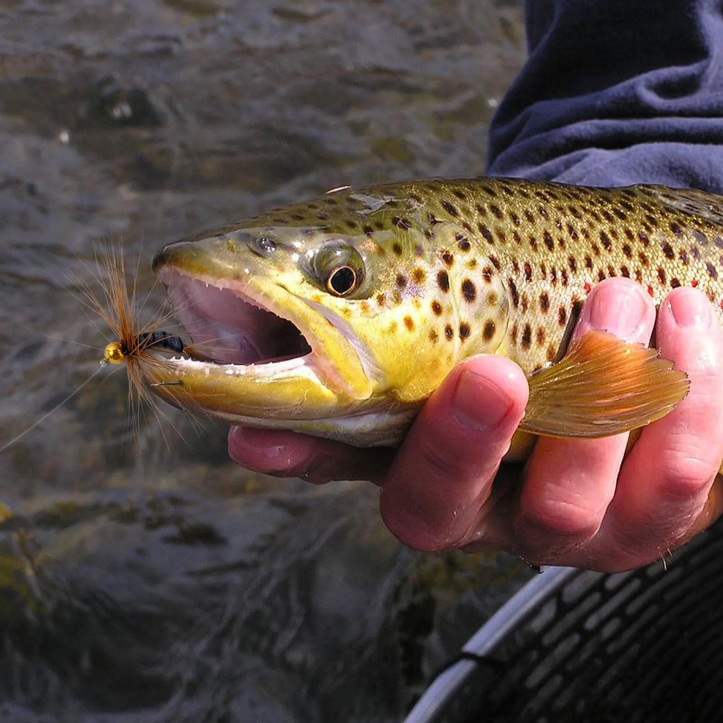 Goture Fly Fishing Flies Kit 25/48/96/150pcs Dry Flies Wet Bait Streamers Nymphs for Fly Fishing Trout Flies Fly Lure