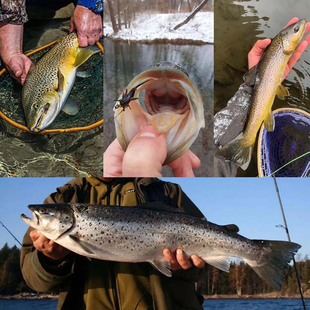 3Pcs Wet Fly Flies for Trout Fishing Flies Artificial Insect Hook Bait Mosquito Fly Fishing Trout Lures