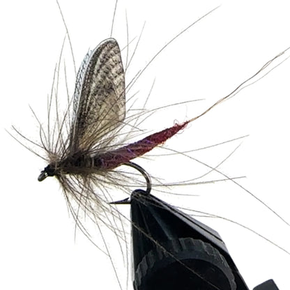 Riverruns Quality Realistic Flies Mayfly Dry Flies Colors Trout UV Super Sturdy Flies