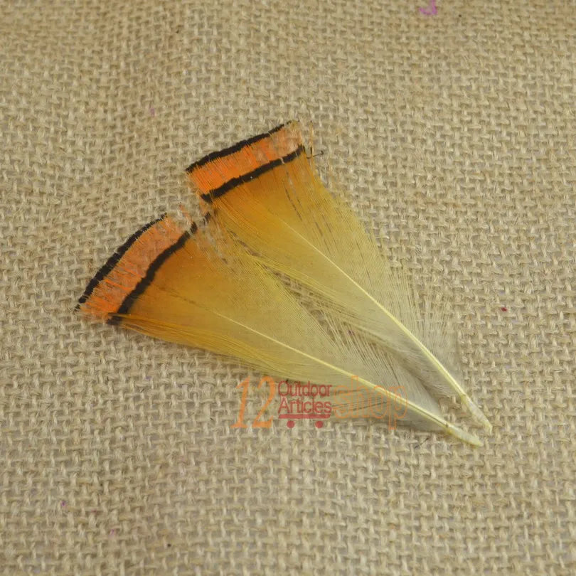 MNFT 50PCS Real Natural Golden Pheasant Tippet Feather Natural Fly Tying Material Fly Fishing Lures Wholesale