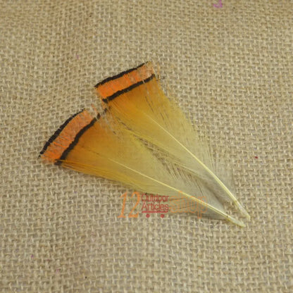 MNFT 50PCS Real Natural Golden Pheasant Tippet Feather Natural Fly Tying Material Fly Fishing Lures Wholesale