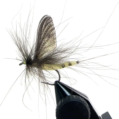 Riverruns Quality Realistic Flies Mayfly Dry Flies Colors Trout UV Super Sturdy Flies