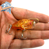 Wobblers  Floating Insect Cicada Fishing Lure For Perch 4cm6g  8pics per box