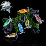 Popper Lure 3D Eyes Cicada 40mm 4g